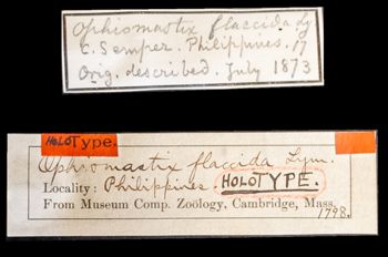 Media type: image;   Invertebrate Zoology OPH-1798 Aspect: labels
